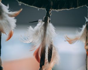 Preview wallpaper feathers, pendant, decoration, macro