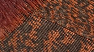 Preview wallpaper feathers, surface, macro, texture, brown
