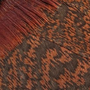 Preview wallpaper feathers, surface, macro, texture, brown