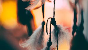 Preview wallpaper feathers, suspension, macro, blur