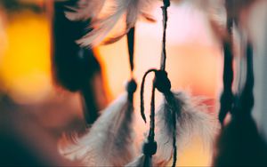 Preview wallpaper feathers, suspension, macro, blur