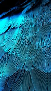 Preview wallpaper feathers, texture, background, blue