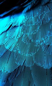 Preview wallpaper feathers, texture, background, blue