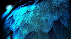 Preview wallpaper feathers, texture, background, blue