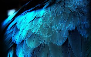 Preview wallpaper feathers, texture, background, blue