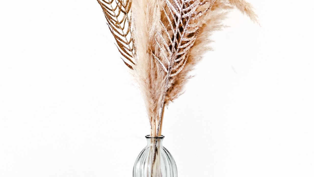 Wallpaper feathers, vase, minimalism, bouquet