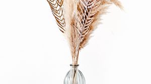 Preview wallpaper feathers, vase, minimalism, bouquet