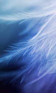 Preview wallpaper feathers, white, close-up