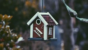 Preview wallpaper feeder, bird, house