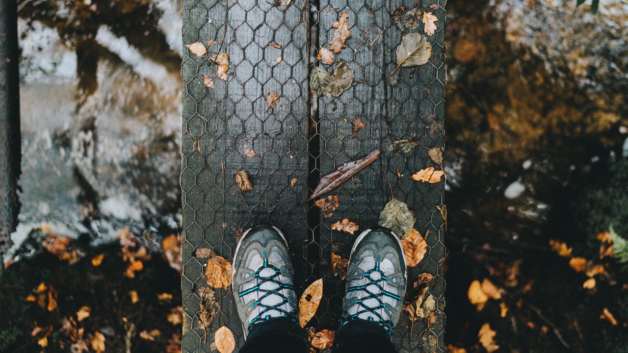 Wallpaper feet, autumn, foliage, rain