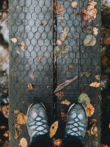 Preview wallpaper feet, autumn, foliage, rain