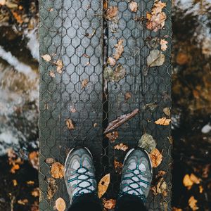 Preview wallpaper feet, autumn, foliage, rain