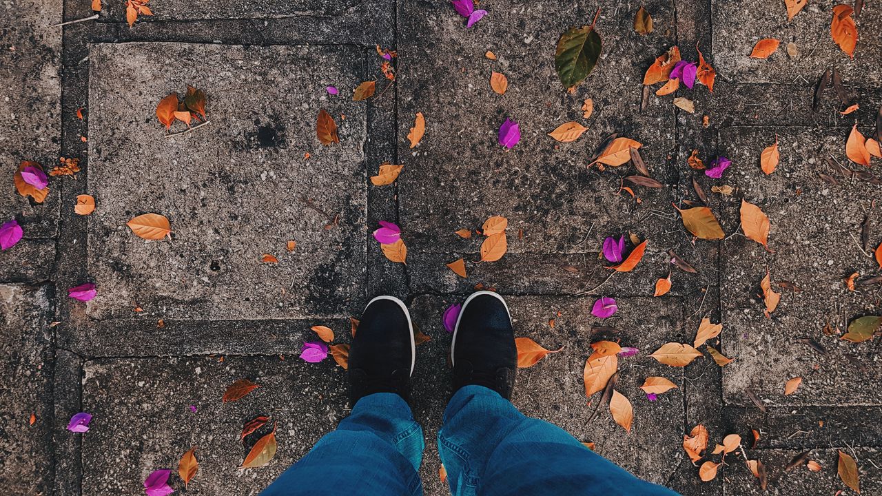Wallpaper feet, leaves, autumn, fallen hd, picture, image