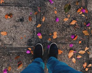 Preview wallpaper feet, leaves, autumn, fallen