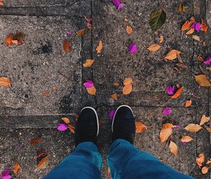 Preview wallpaper feet, leaves, autumn, fallen