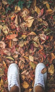 Preview wallpaper feet, sneakers, foliage, autumn