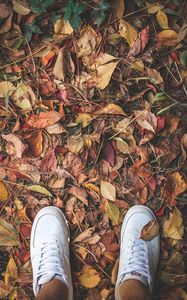 Preview wallpaper feet, sneakers, foliage, autumn