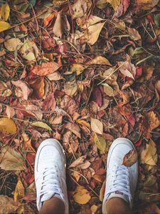 Preview wallpaper feet, sneakers, foliage, autumn