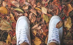 Preview wallpaper feet, sneakers, foliage, autumn