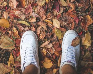 Preview wallpaper feet, sneakers, foliage, autumn