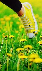 Preview wallpaper feet, sneakers, grass, escape