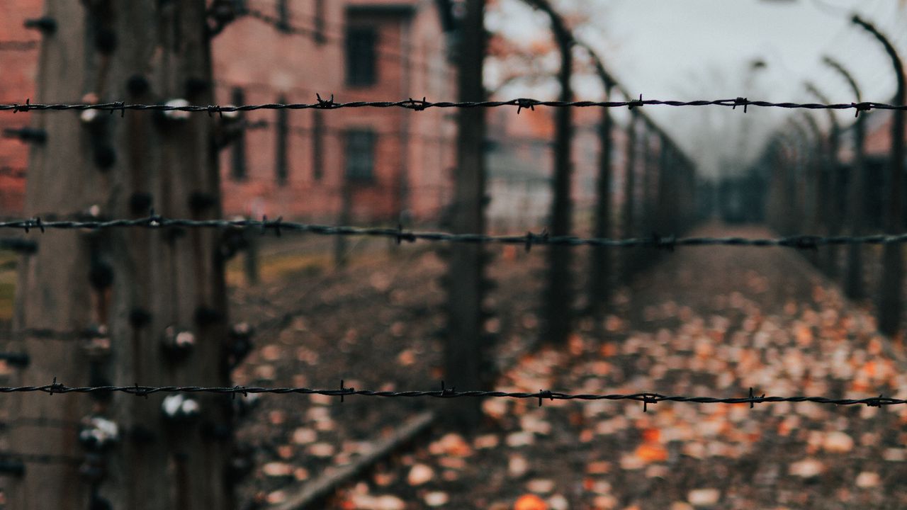 Wallpaper fence, barbed wire, wire, spikes