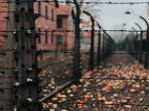 Preview wallpaper fence, barbed wire, wire, spikes