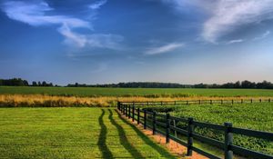 Preview wallpaper fence, fields, greens, agriculture