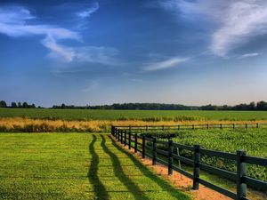 Preview wallpaper fence, fields, greens, agriculture