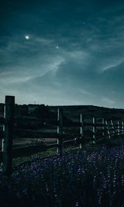 Preview wallpaper fence, flowers, starry sky, night
