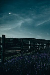 Preview wallpaper fence, flowers, starry sky, night