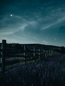 Preview wallpaper fence, flowers, starry sky, night