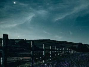 Preview wallpaper fence, flowers, starry sky, night