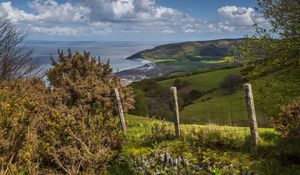 Preview wallpaper fence, grass, coast, sea, nature