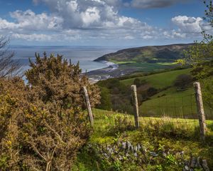 Preview wallpaper fence, grass, coast, sea, nature