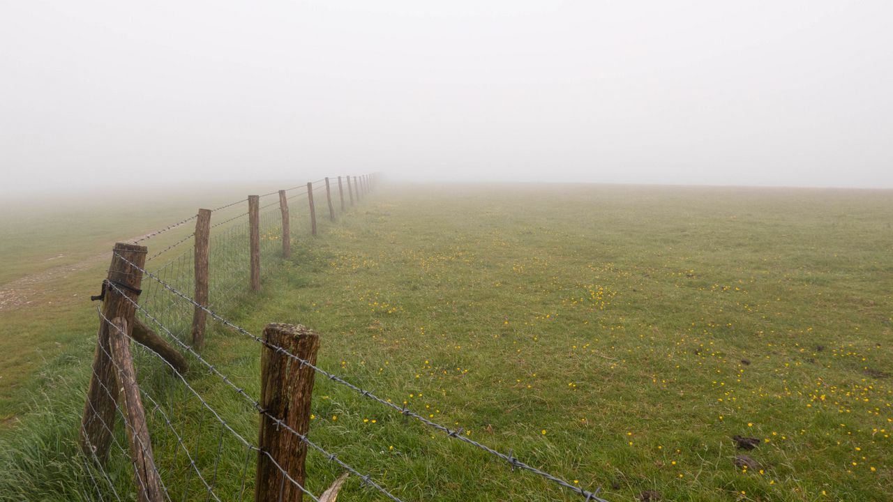 Wallpaper fence, grass, field, flowers, fog