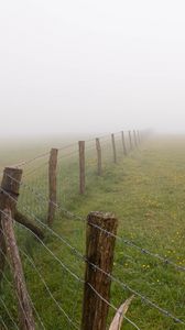 Preview wallpaper fence, grass, field, flowers, fog