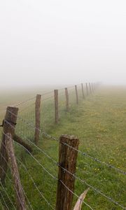 Preview wallpaper fence, grass, field, flowers, fog