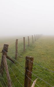 Preview wallpaper fence, grass, field, flowers, fog