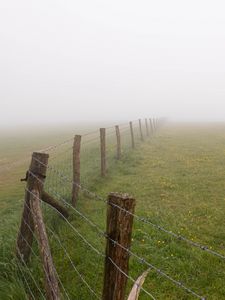 Preview wallpaper fence, grass, field, flowers, fog