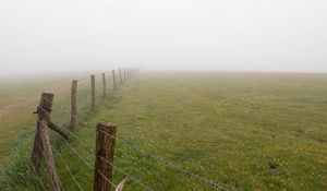 Preview wallpaper fence, grass, field, flowers, fog
