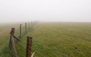 Preview wallpaper fence, grass, field, flowers, fog