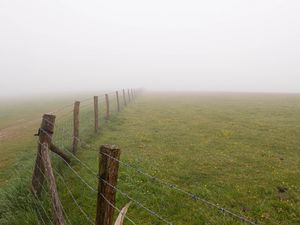 Preview wallpaper fence, grass, field, flowers, fog