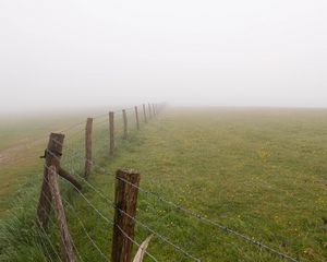Preview wallpaper fence, grass, field, flowers, fog
