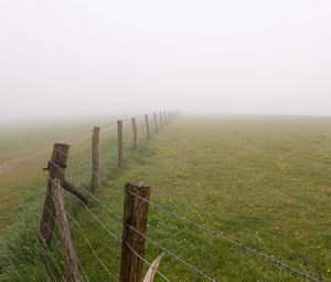 Preview wallpaper fence, grass, field, flowers, fog