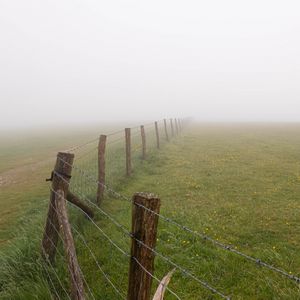 Preview wallpaper fence, grass, field, flowers, fog