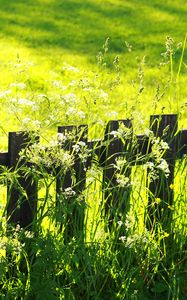 Preview wallpaper fence, grass, field, green