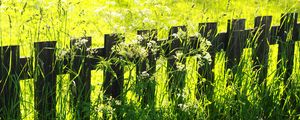 Preview wallpaper fence, grass, field, green