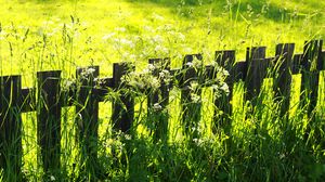 Preview wallpaper fence, grass, field, green