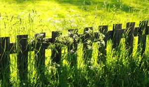 Preview wallpaper fence, grass, field, green